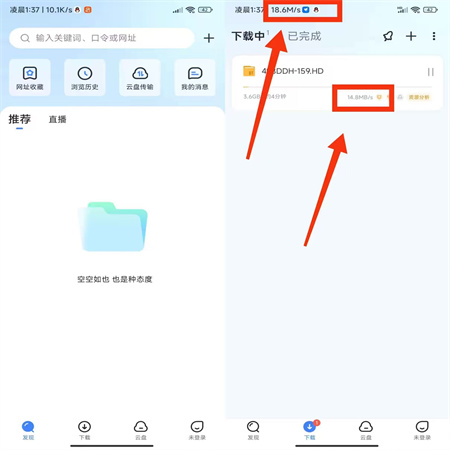 迅雷解锁vip不限速2023最新版下载
