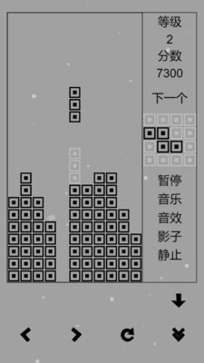 经典俄罗斯方块黑白版免广告版下载3