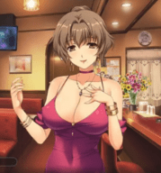 妻中蜜全cg+动画下载